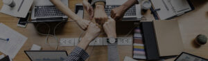 seo решение для стартапа